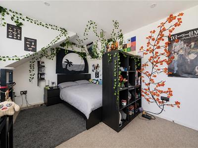 Picture 17